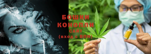 гидропоника Карпинск