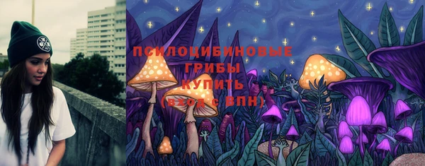 гидропоника Карпинск